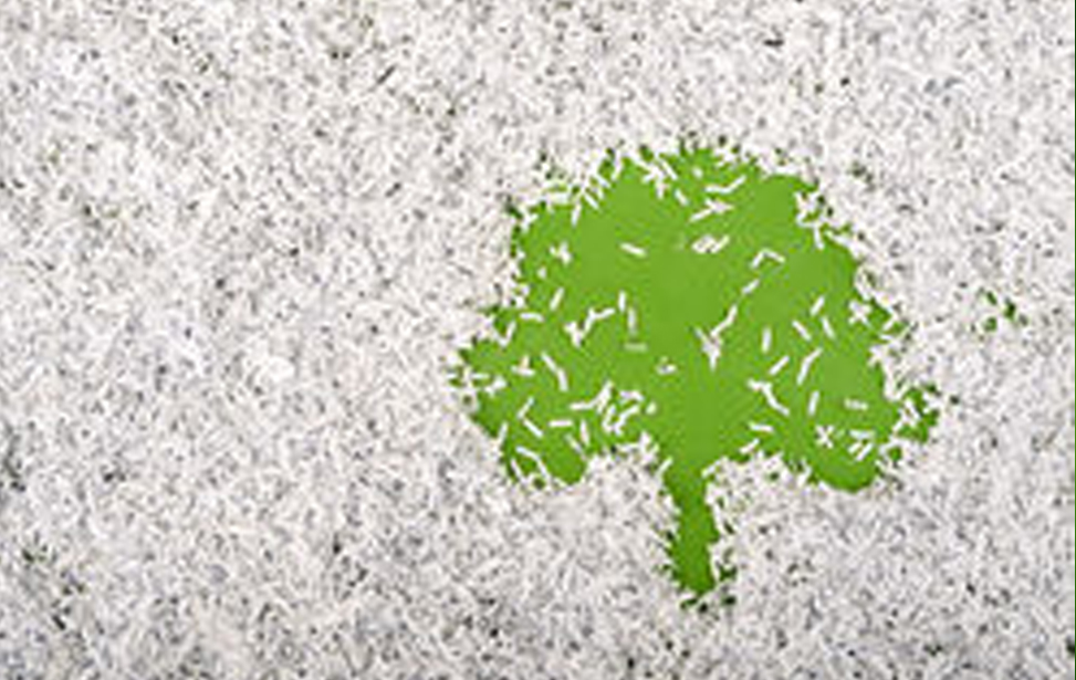 Responsive image Circular Economy